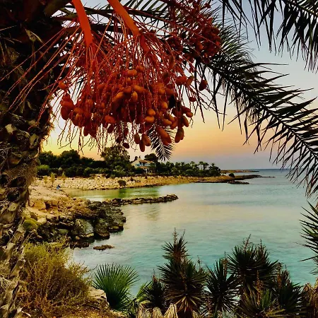 Zoe's By Turtle Bay Vilă *